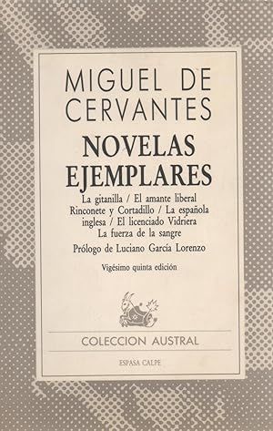 NOVELAS EJEMPLARES (AUSTRAL 29)