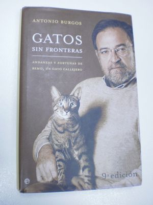 GATOS SIN FRONTERAS/ CATS WITHOUT BORDERS: ANDANZAS Y FORTUNAS DE REMO, UN GATO CALLEJERO/ ADVENTURES AND FORTUNE OF REMO, A STREET CAT