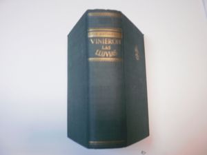 VINIERON LAS LLUVIAS