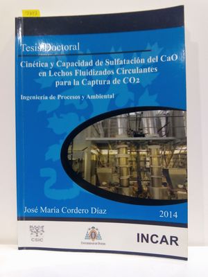 CINTICA Y CAPACIDAD DE SULFATACIN DEL CAO EN LECHOS FLUIDIZADOS CIRCULANTES PARA LA CAPTURA DE CO2. INGENIERA DE PROCESOS Y AMBIENTAL. TESIS DOCTORAL.