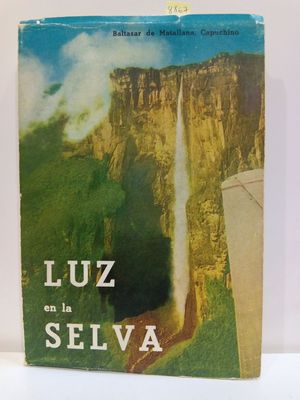 LUZ EN LA SELVA