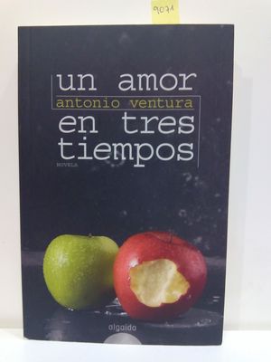 UN AMOR EN TRES TIEMPOS / A LOVE IN THREE DAYS (SPANISH EDITION)