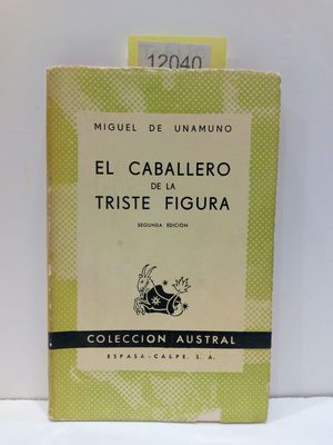 EL CABALLERO DE LA TRISTE FIGURA.